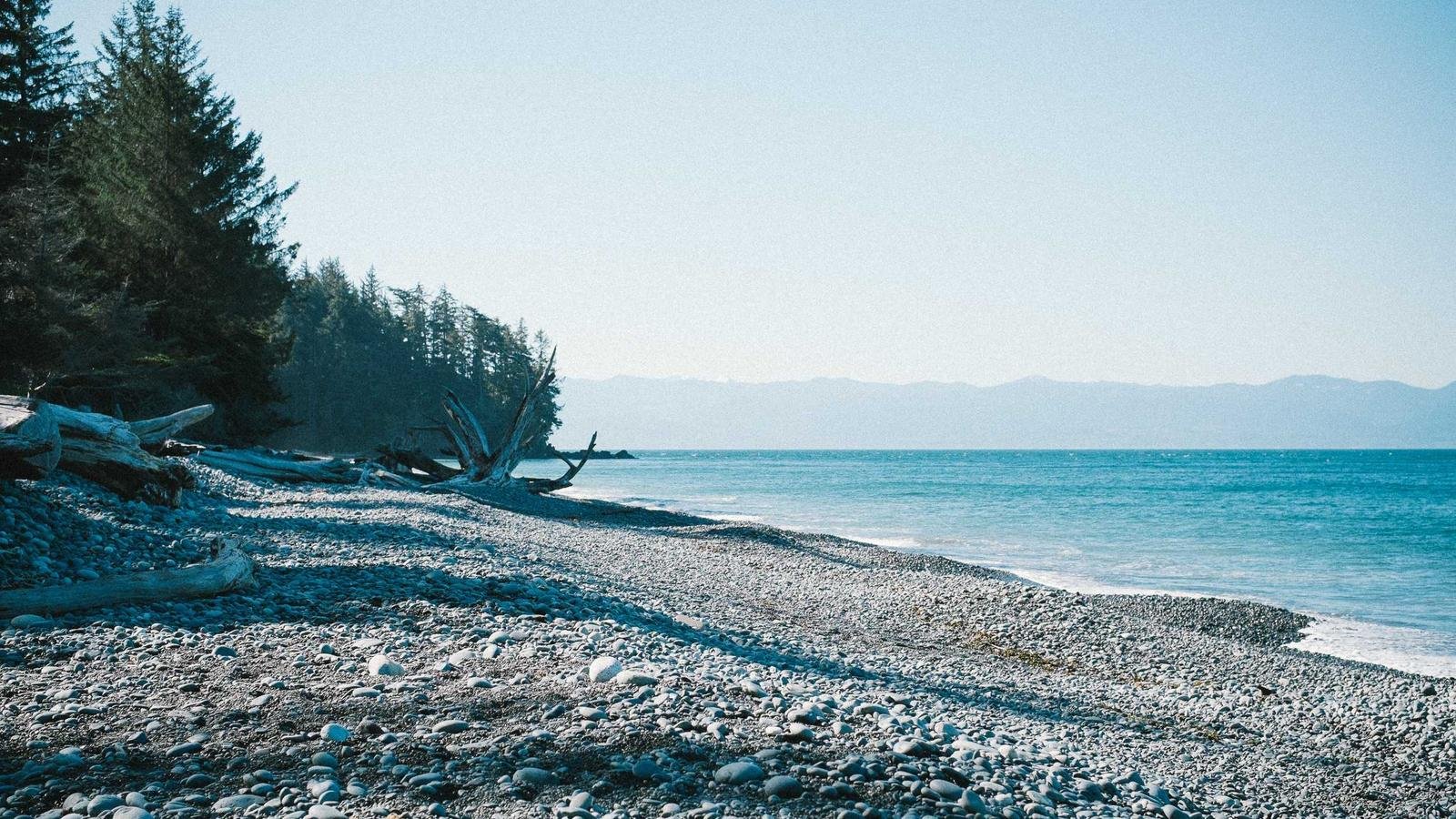 The Disappearing Pension Is Reshaping How an Entire Generation Retires
